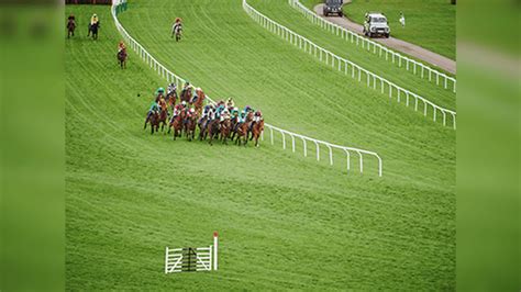 cheltenham trends 2024|Cheltenham .